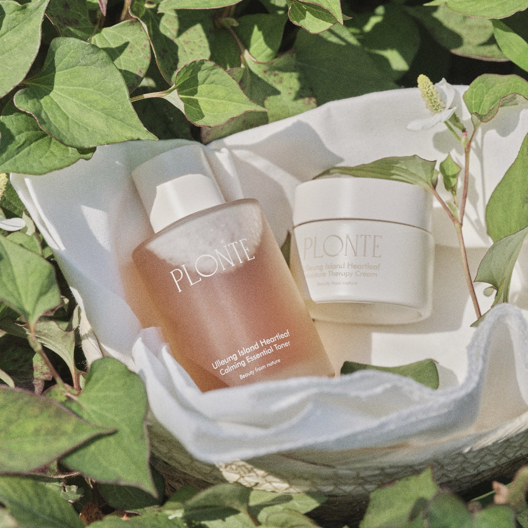 PLONTE Ulleung Island Hearteaf First Calming Essence 100ml