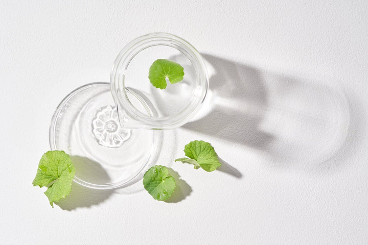 mixsoon Centella Cleansing Water [300ml] - UJUGLOW
